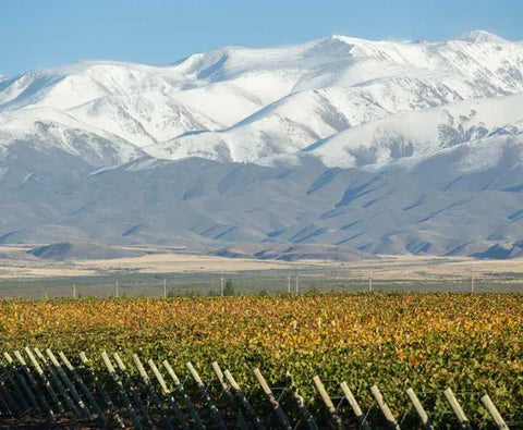Grand Malbec 2021, Terrazas de los Andes