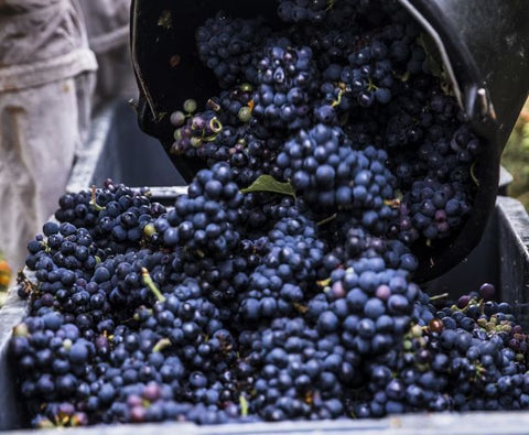 Champagne Armand de Brignac Ace of Spades NV