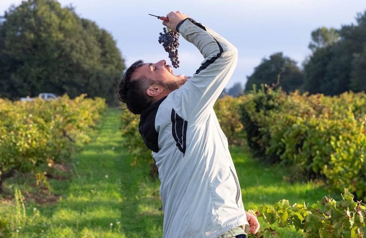 Wine at Home