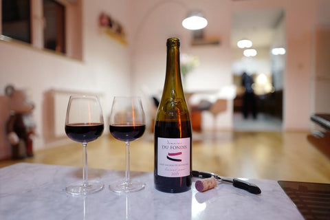 Saint Nicolas de Bourgueil AOC 2022, Domaine du Fondis