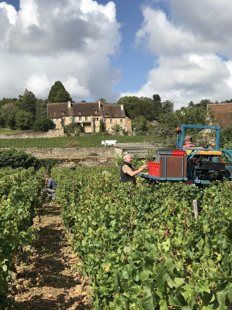 Gevrey-Chambertin En Creot AOC 2014 Domaine Marchand-Grillot - Fine wines from Wine at Home