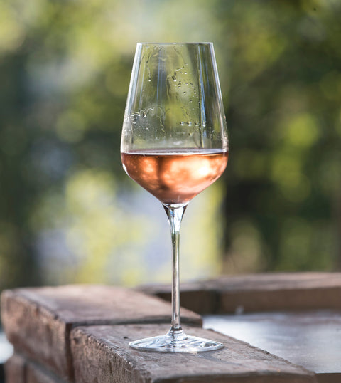 Rosé Wines