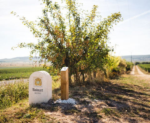 Champagne Ruinart Rosé NV