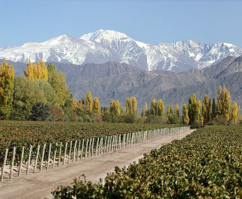 Grand Malbec 2021, Terrazas de los Andes