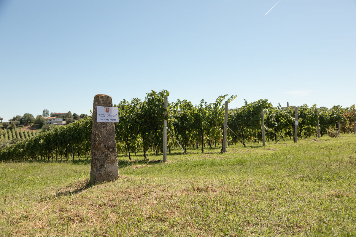 Wine at Home