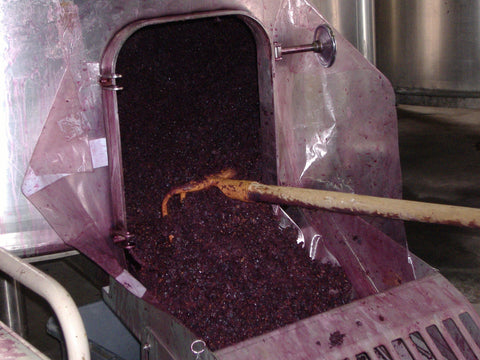 Saint Nicolas de Bourgeuil 2019 Domaine du Fondis - Wine at Home
