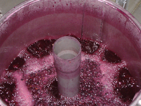 Saint Nicolas de Bourgeuil 2019 Domaine du Fondis - Wine at Home