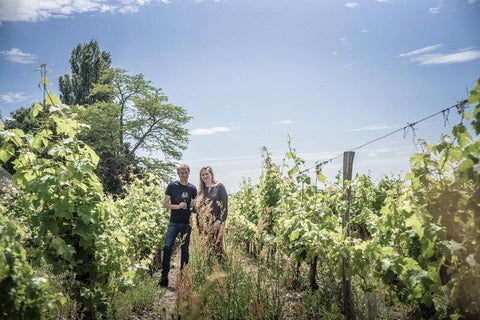 Saint Nicolas de Bourgeuil 2019 Domaine du Fondis - Wine at Home