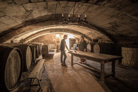 Saint Nicolas de Bourgeuil 2019 Domaine du Fondis - Wine at Home