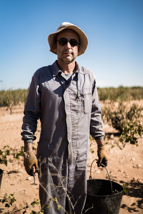 El Pinar de Villena Blanco 2024, Las Virtudes