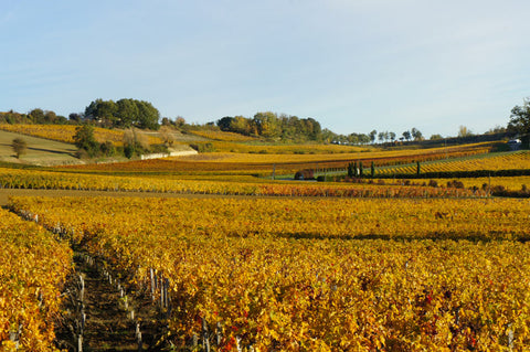 Castillon Côtes de Bordeaux AOC 2015, Château Bréhat