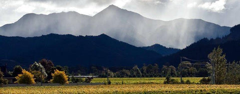 Sauvignon Blanc Marlborough 2019 Map Maker - Wine at Home