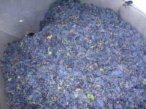 Syrah VdP du Comté de Grignan 2022, Domaine Gigondan M. & Fils