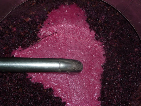 Syrah VdP du Comté de Grignan 2022, Domaine Gigondan M. & Fils