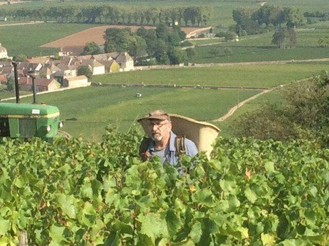 Pernand Vergelesses Blanc AOC 2014 Domaine Laboureau - Wine at Home