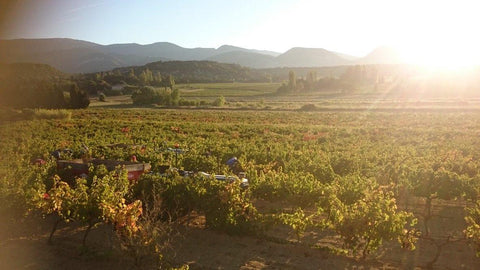 Cotes du Rhone Reserve St Just AOC 2017 Domaine Gigondan - Wine at Home