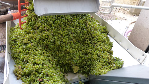 Pouilly Fume AOC Les Croqloups 2023, Domaine Chauveau