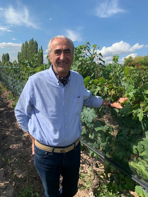 Cabernet Franc Reservado 2022, Fabre Montmayou
