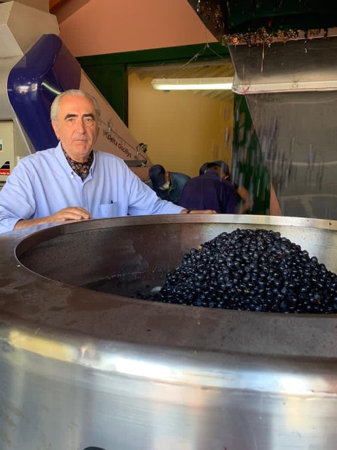 Malbec Reservado 2022, Fabre Montmayou