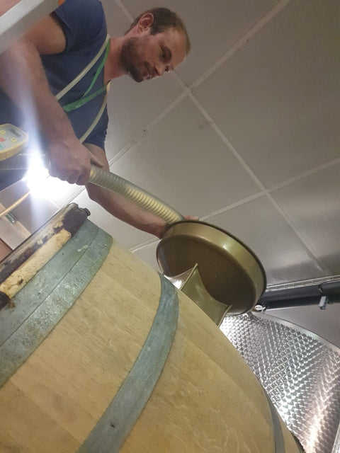 Petit Chablis AOC 2023, Jean-Pierre & Alexandre Ellevin