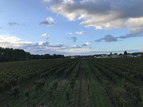 Bordeaux AOC 2018 Chateau La Croix du Grand Jard - Wine at Home