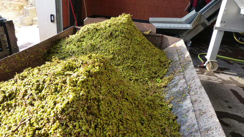 Pouilly Fume AOC Les Croqloups 2023, Domaine Chauveau