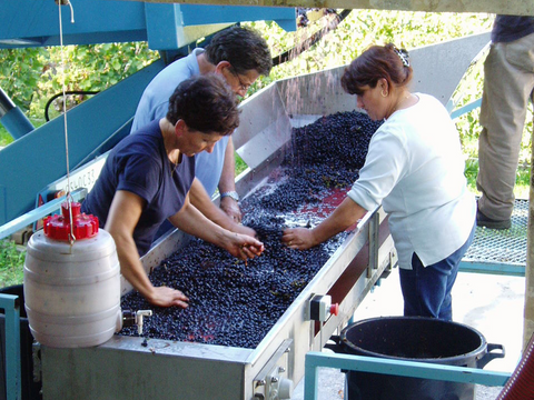 Castillon Côtes de Bordeaux AOC 2015, Château Bréhat