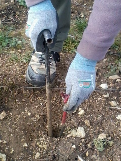 Pouilly Fume AOC Les Croqloups 2023, Domaine Chauveau