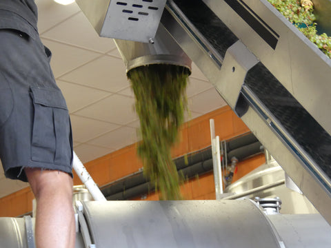 Pouilly Fume AOC Les Croqloups 2023, Domaine Chauveau