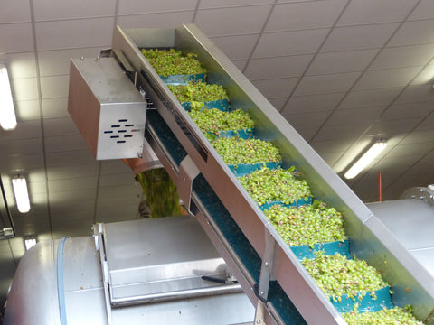 Pouilly Fume AOC Les Croqloups 2023, Domaine Chauveau