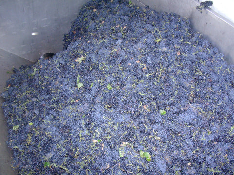 Grenache VdP du Comté de Grignan 2023, Domaine Bois Vieux