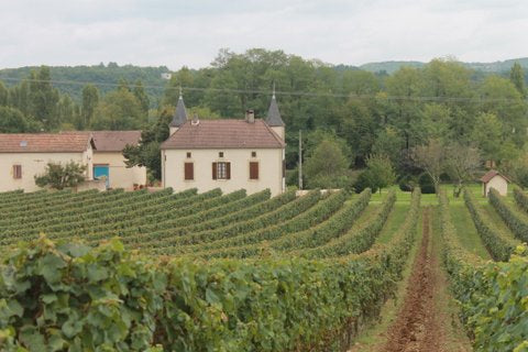 Malbec Cahors AOC 2020, Clos du Colombier