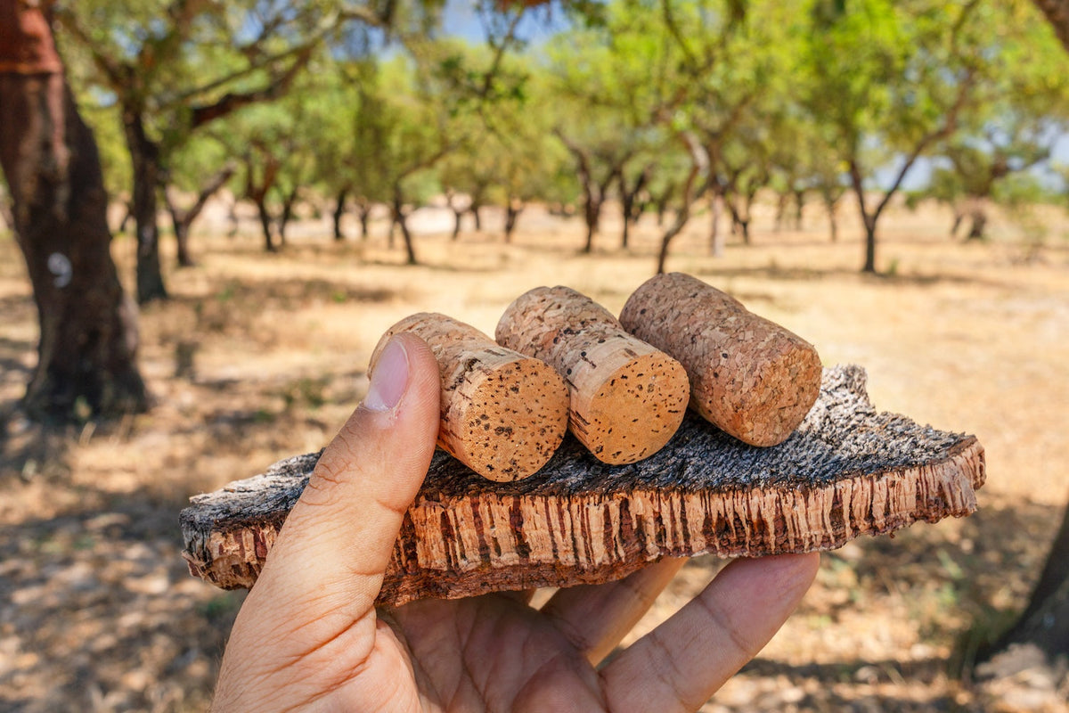 Is my wine corked?