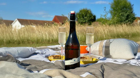 Best wines for picnics
