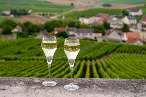 Colombard-Sauvignon Côtes de Gascogne IGP 2021, at Wine Home Domaine l\'Estrade – de