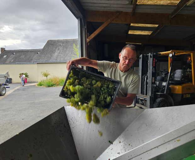Domaine des Barres