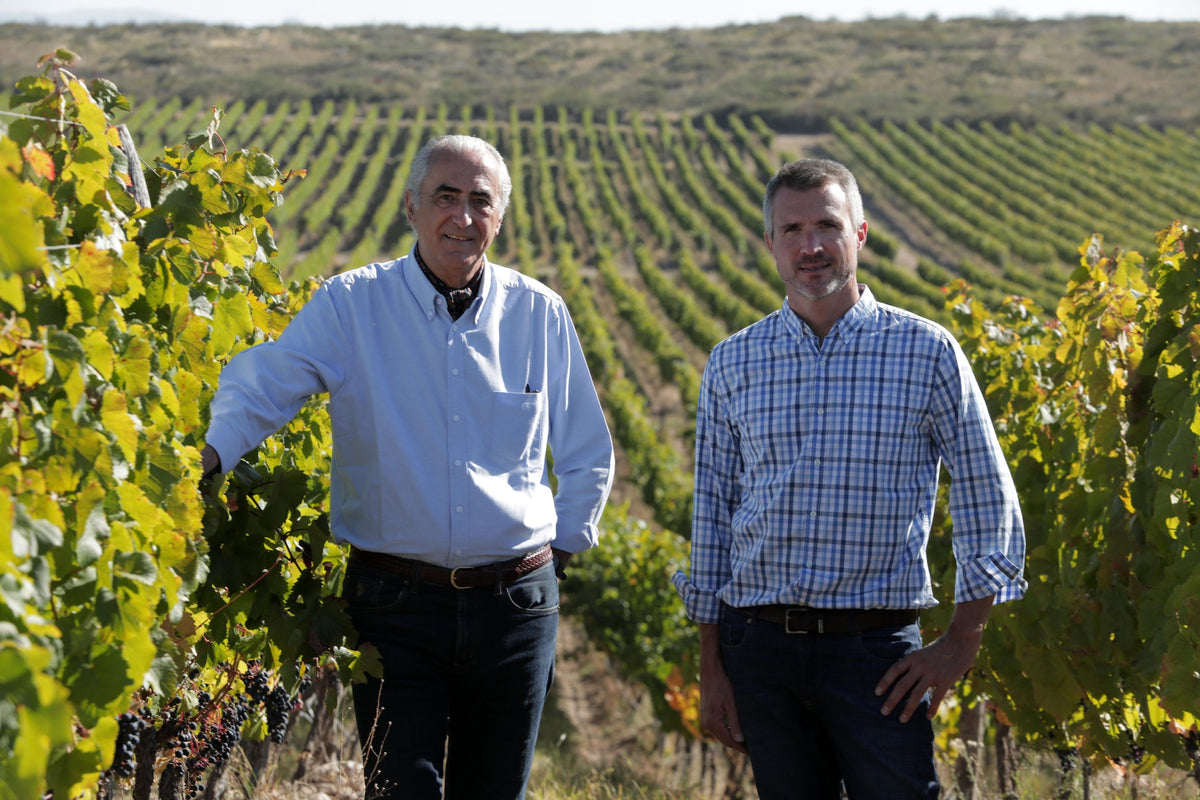 High altitude Malbec from Wine at Home