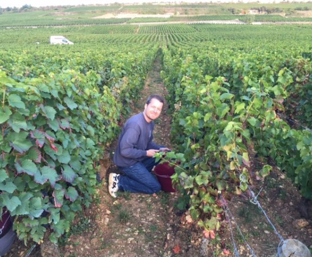 Domaine Laurent Dufouleur