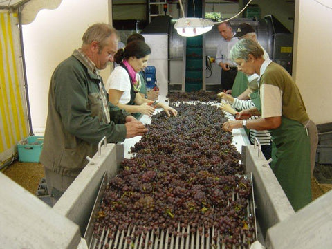 French Red Wines