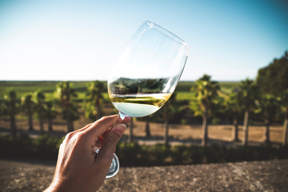 Pinot Grigio