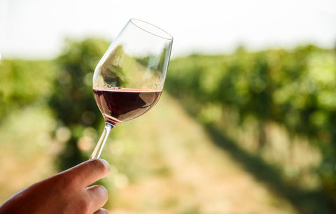 Rosé Wines