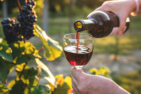Red wines under £15