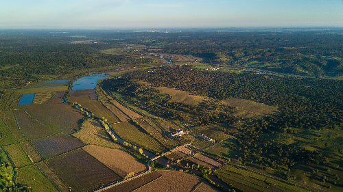 Stunning riverside vineyards of Herdade do Portocarro