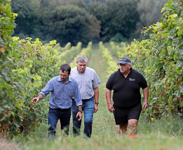 La Cave des Vignerons Landais