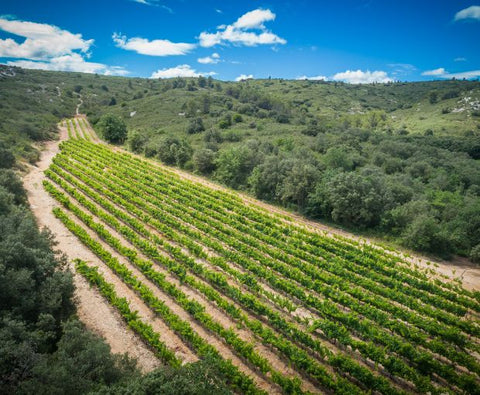 Duché d'Uzes AOP White 2023, Famille Montescaud