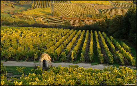 Crémant de Loire Brut AOP, Domaine des Barres