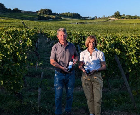 Saint Emilion Grand Cru AOC 2016, Chateau Haut Rocher