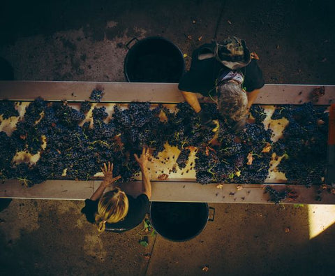 Rock Angel Rosé 2024, Château d'Esclans