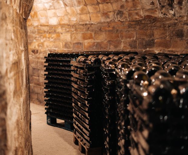 Cava Brut DO, Sogas Mascaró