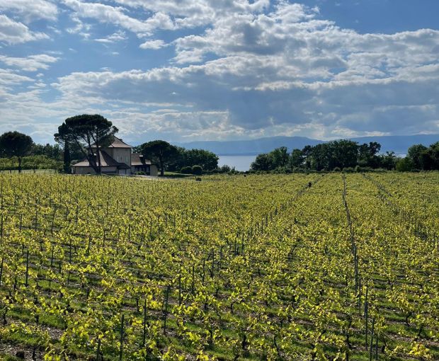 Vin de Savoie Ripaille AOC 2024, Château de Ripaille